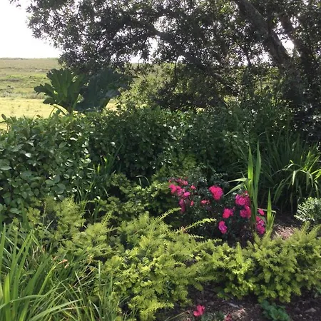 Bed & Breakfast Tullybeggs *